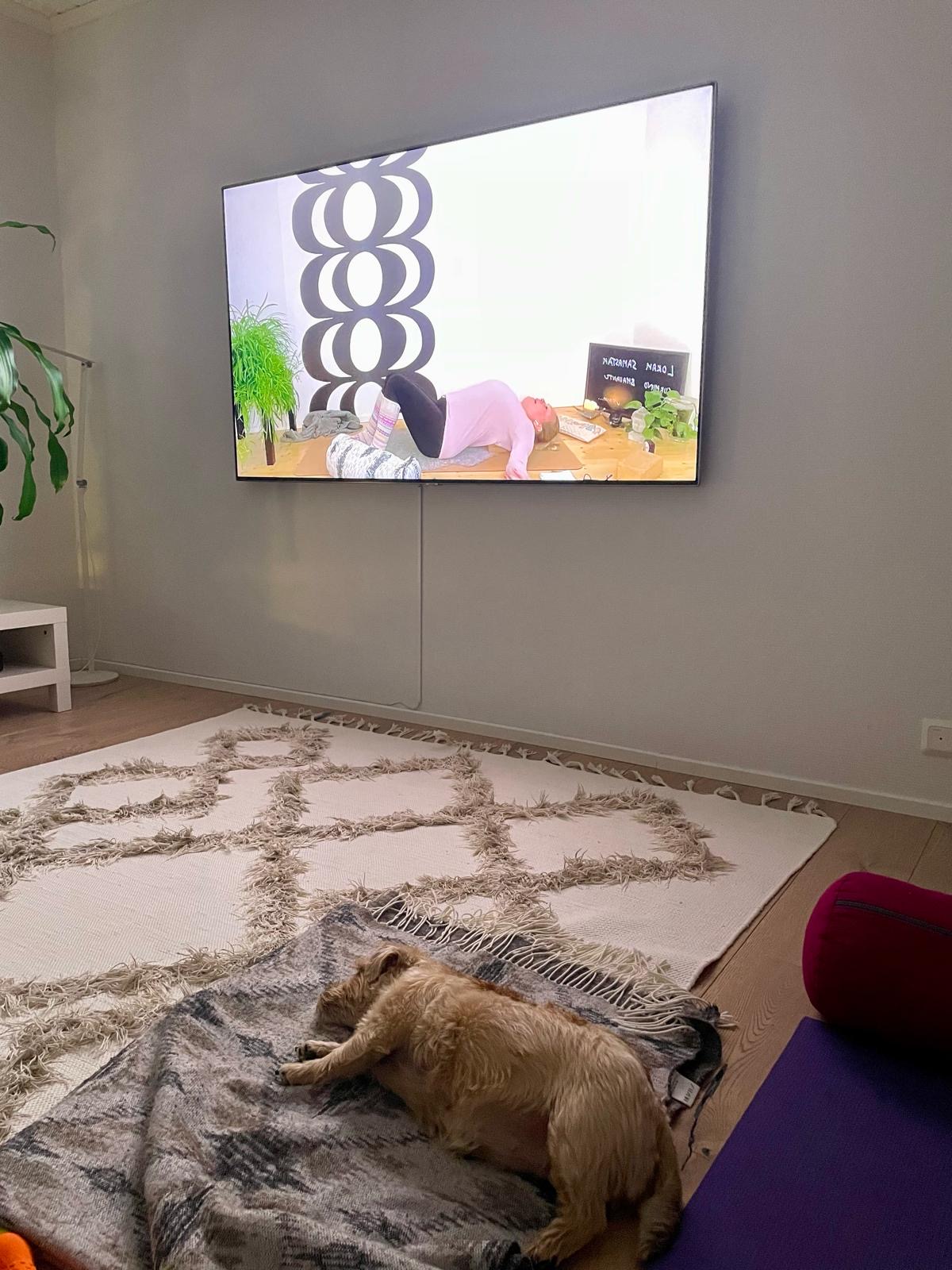 ffbfd86d-803d-4527-9586-324a2e2fd913